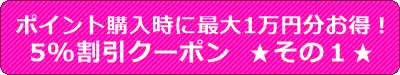 dxlive�̃|�C���g�w�����Ɋ����ɂȂ�N�[�|�����̂P