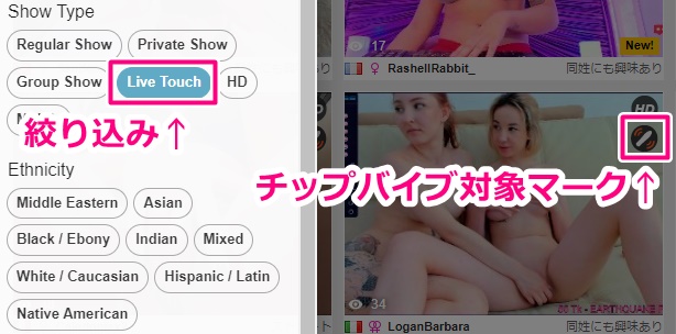 cam4のチップバイブ対象パフォーマー