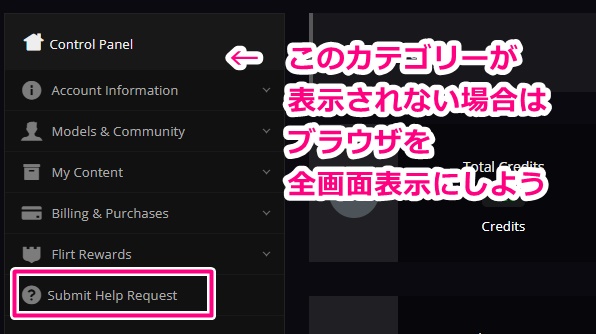 flirt4freeのお問い合わせボタン