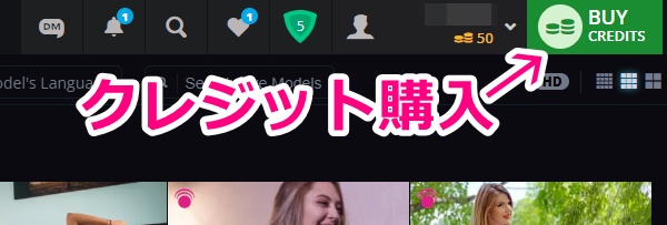 flirt4freeのクレジット購入ボタン