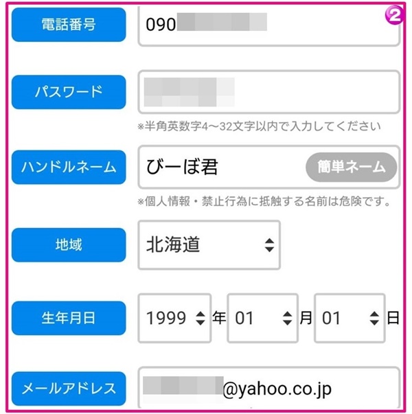 vi-voの個人情報入力画面